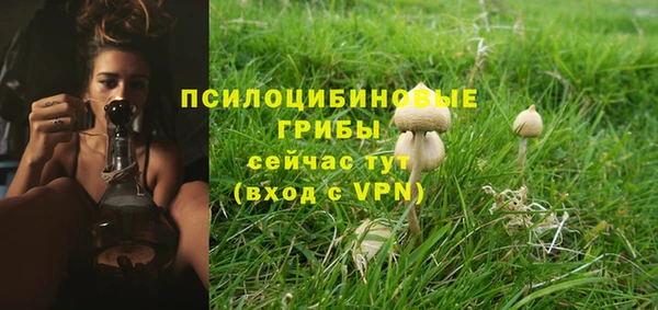 mdpv Верхний Тагил